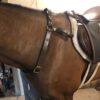P.S.&B. Safety Strap  2-Piece Yoke - Image 4