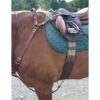 P.S.&B. Safety Strap  2-Piece Yoke - Image 2
